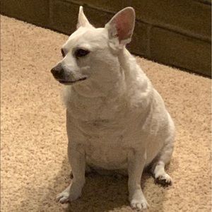 Meet your Posher, Alexis